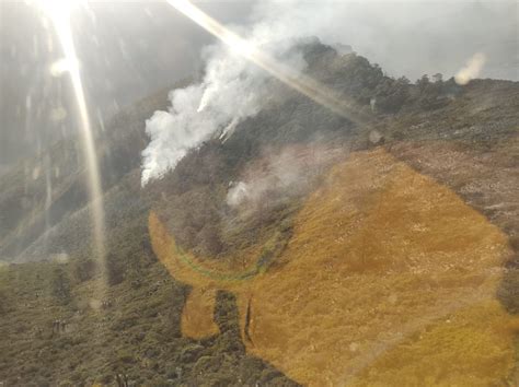 Continúan Labores Contra Incendio Forestal En Sierra De Rayones Nl