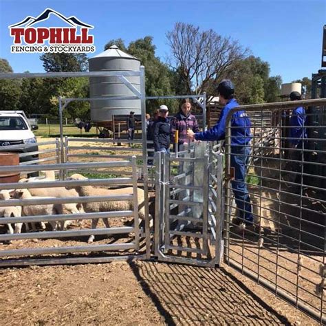 260 Head Sheep Yard Plans And Designs Top Hill