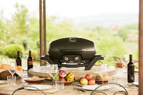 Napoleon Travelq Pro 285 Black Portable Propane Gas Grill Pro285