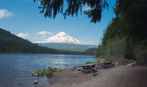 Mt Hood Reflection En Panorama Del Lago Trillium Imagen De Archivo