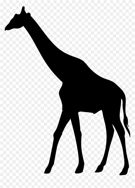 Giraffe African Animal Silhouette, HD Png Download - vhv