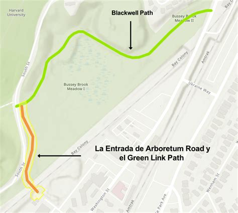 El Proyecto De Senderos De Acceso De Roslindale Arnold Arboretum