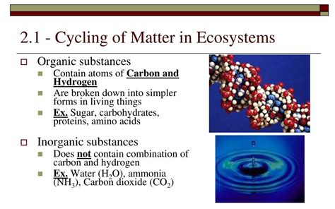 Ppt Unit Sustaining Ecosystems Powerpoint Presentation Free