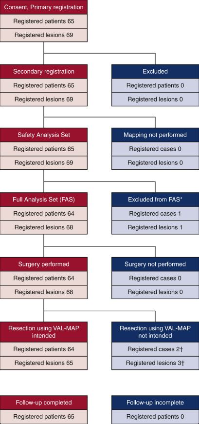 The Role Of Virtual Assisted Lung Mapping Combining Microcoils And