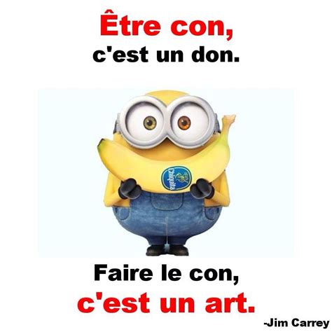 Épinglé par Buck Sanford sur French Minion humour Blague minion