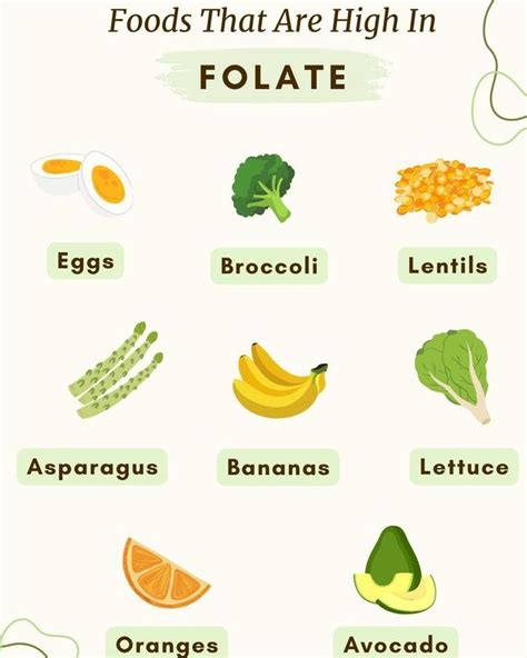 A list of top 50 foods high in folate folic acid – Artofit