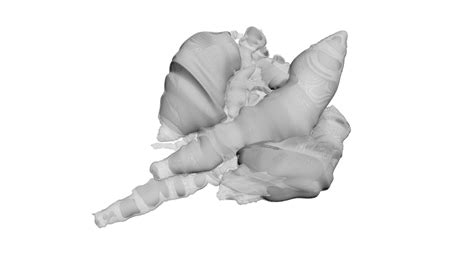 Chicken Lungs 3D model | CGTrader