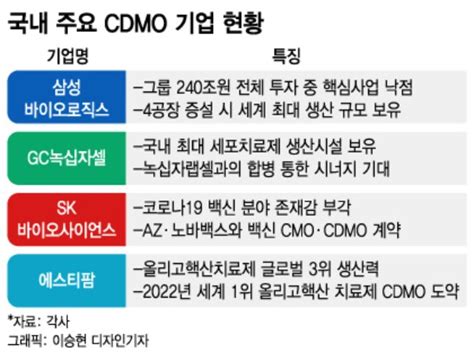 삼성이 겨눈 118조 Cdmo 시장 K 바이오 핵심 먹거리 된다 머니투데이