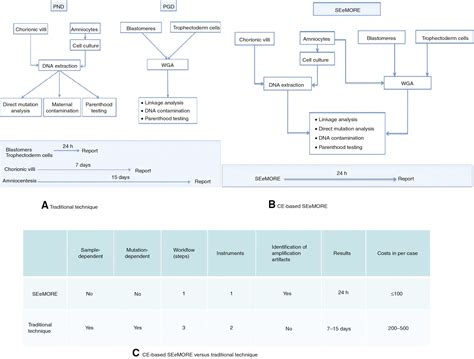 Capillary Electrophoresis Based On Nucleic Acid Analysis For Diagnosing Inherited Diseases