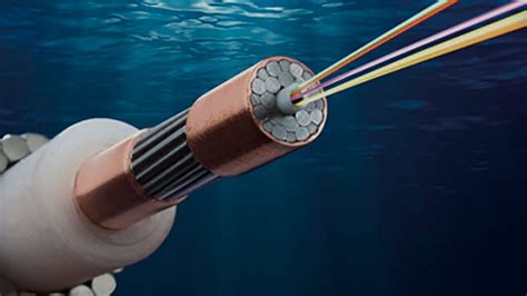 Los Cables Submarinos Que Conectan Su Columna Vertebral