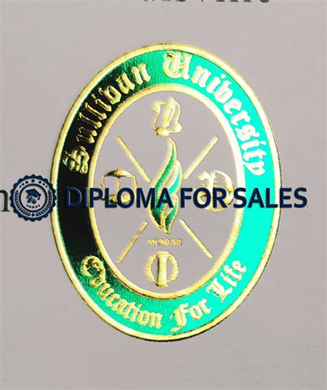 order  fake sullivan university diploma