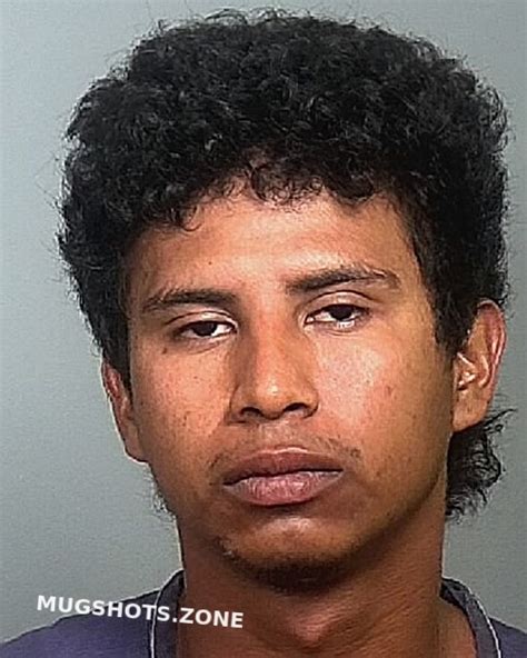 Garcia Pereira Adonis Manatee County Mugshots Zone