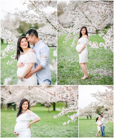 Romantic Cherry Blossoms Maternity Photos Dc Maternity Photos Dc