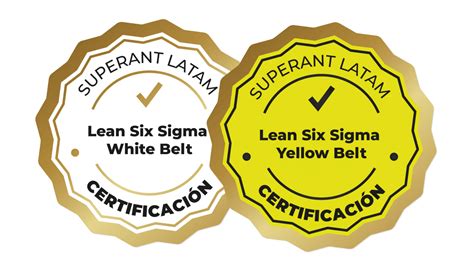 Instituto Superant Certificaciones Lean Six Sigma