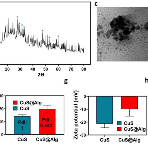 A UVVis NIR Spectrum Of CuS Alg B XRD Pattern Of CuS Alg C TEM Image