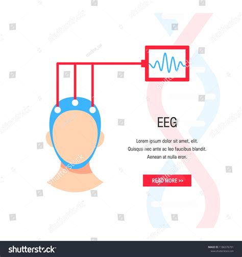 Electroencephalography Vector Concept Brain Wave Measurement Stock ...