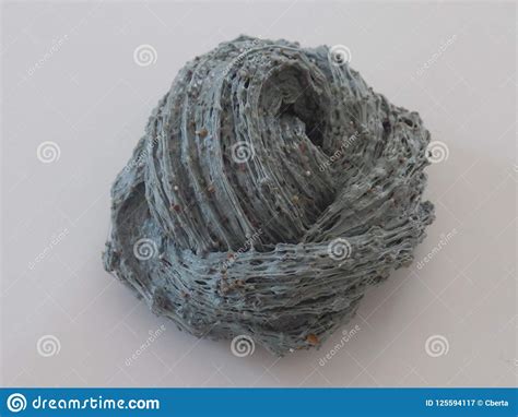 Grey Slime Mold Royalty-Free Stock Photography | CartoonDealer.com ...