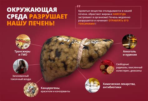 Средства для очищения печени: реальные, цены, эффективность
