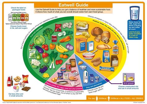 Nutrition Education Or Lessons In Disordered Eating