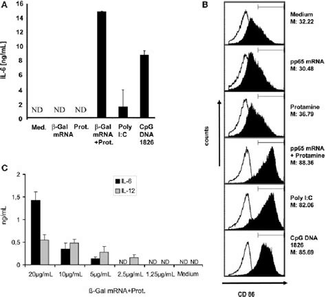 Protamine Rna Complexes Activate Mouse Splenocytes A Elisa