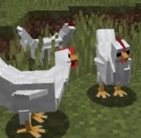 Cursed Chickens Rmemes