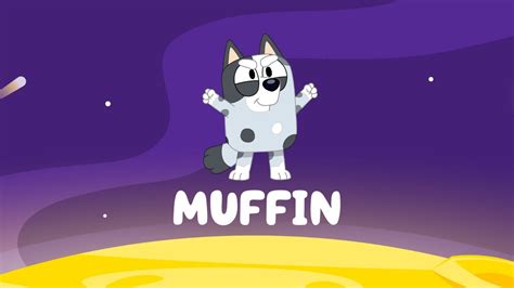 Everything You Need To Know About Muffin From Bluey Bluey Muffin