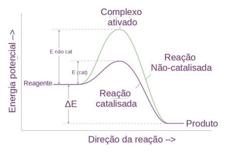 O Que Os Catalisadores Tem De Especial Clube Da Qu Mica