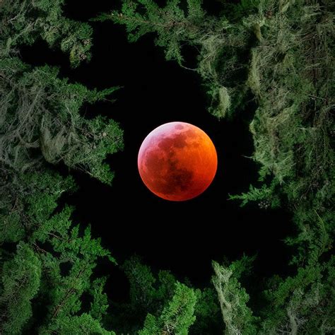 Photos Bay Area Stargazers Share Photos Of Super Blood Wolf Moon