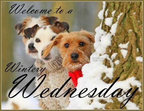 Welcome To A Wintery Wednesday