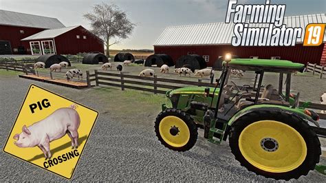 LONE OAK 19 Buying Pigs Farming Simulator 19 Seasons YouTube