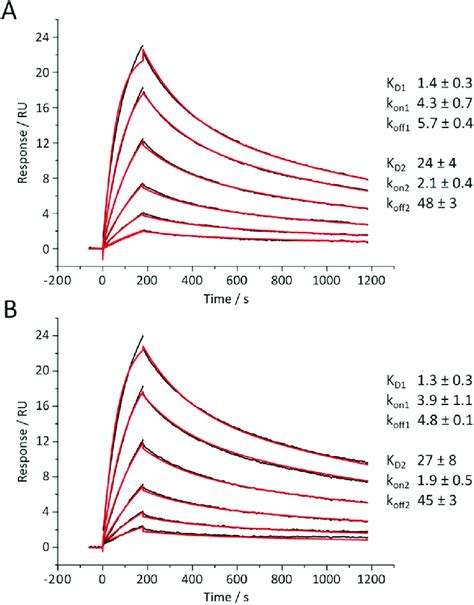 Representative Spr Sensorgrams Of Human Cationic Trypsin Interacting