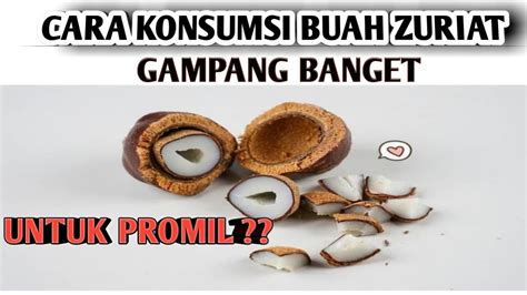 Cara Mengolah Dan Mengonsumsi Buah Zuriat Untuk Promil Youtube