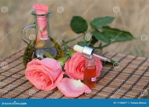 Petr Leo Esencial De Aromatherapy Imagen De Archivo Imagen De Alcohol