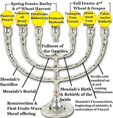 The Meaning Of The Eighth Day Pt 7 Eighth Day Meaning Of Menorah