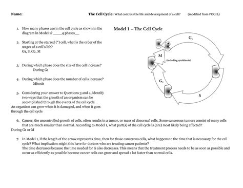 Copy Of 2122 Cell Cycle Pogil Name The Cell Cycle What Controls The Life And Development Of