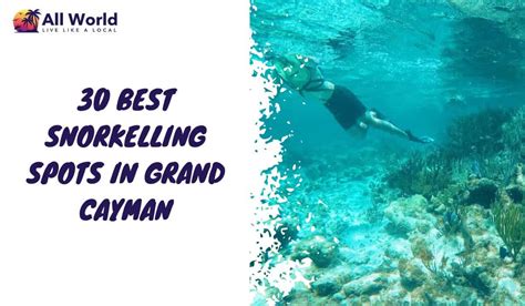 30 Best Snorkeling Spots In Grand Cayman