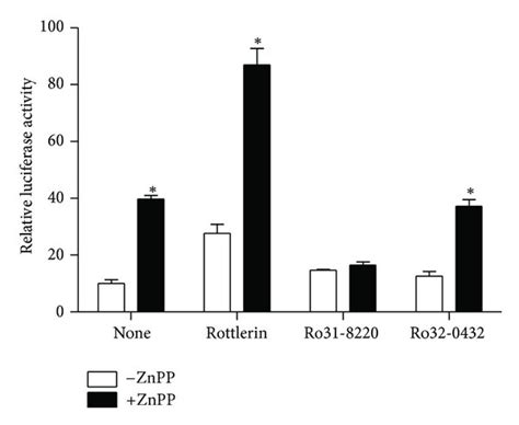 Effect Of Protein Kinase Inhibitors And Antioxidant On ZnPP Activation