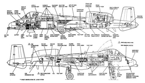 A 10 Warthog Outline With Labels By Pressburg Redbubble