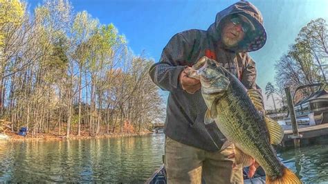 How I Caught 20lbs Of Bass Fishing Lake Norman YouTube