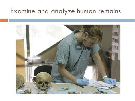 Ppt Chapter 14 Human Remains Powerpoint Presentation Free Download Id 2223775