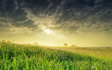 Download Wallpaper For 320x480 Resolution Grass Clouds Landscape