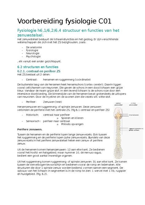 College 1 Periode 1 Structuur En Functies Van Het Zenuwstelsel