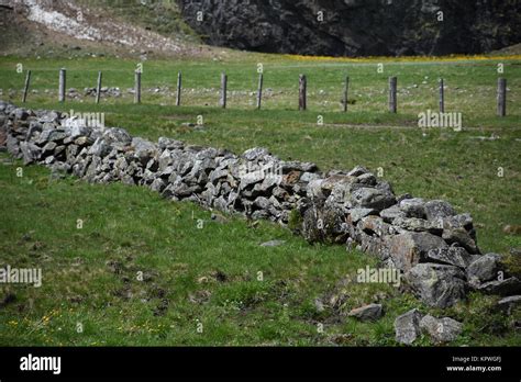 Fencepasturefencestone Fencepicket Fencewooden Fencewire Fence