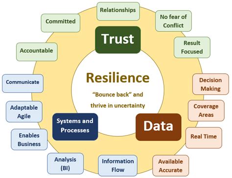 How To Recognise Develop And Measure Organisational Resilience Sabpp