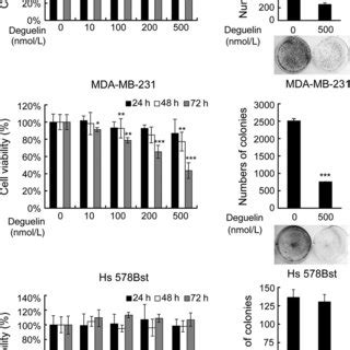 Growth Inhibition Of Mcf And Mda Mb Induced By Deguelin A Mtt