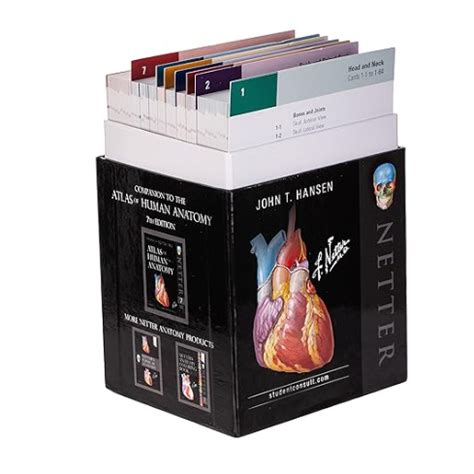 Flash Cards Medical Education Card Netter S Anatomy Netter Basic