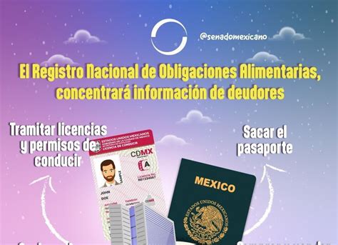 Registro Nacional De Obligaciones Alimentarias Ntr Zacatecas