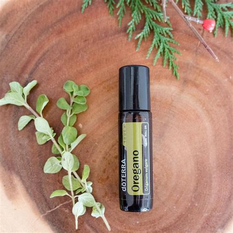 Oregano Essential Oil Is One Of The Most Powerful And Potent Essential