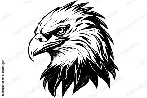 Bald Eagle Logo Vector Design - FileFountain