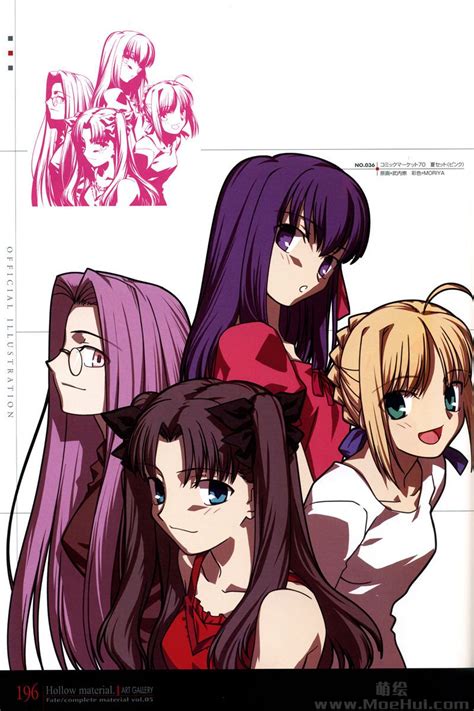 Type Moon Fate Complete Material V Hollow Material P